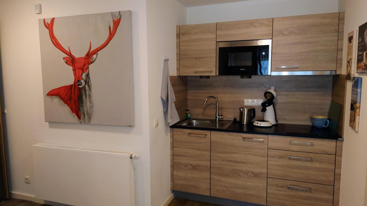 Maurers Schlierseetraum 6, Studio 455 Mit 42 Qm Neu Renoviert, Erdgeschoss Mit Eingezaeunter Terrasse In Ruhiger Lage Am Kirchbichlweg 8 Eksteriør billede