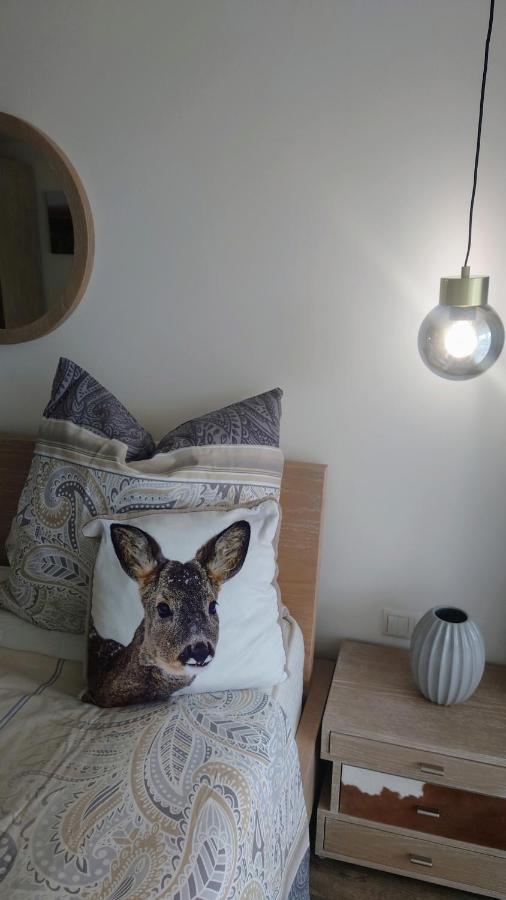 Maurers Schlierseetraum 6, Studio 455 Mit 42 Qm Neu Renoviert, Erdgeschoss Mit Eingezaeunter Terrasse In Ruhiger Lage Am Kirchbichlweg 8 Eksteriør billede