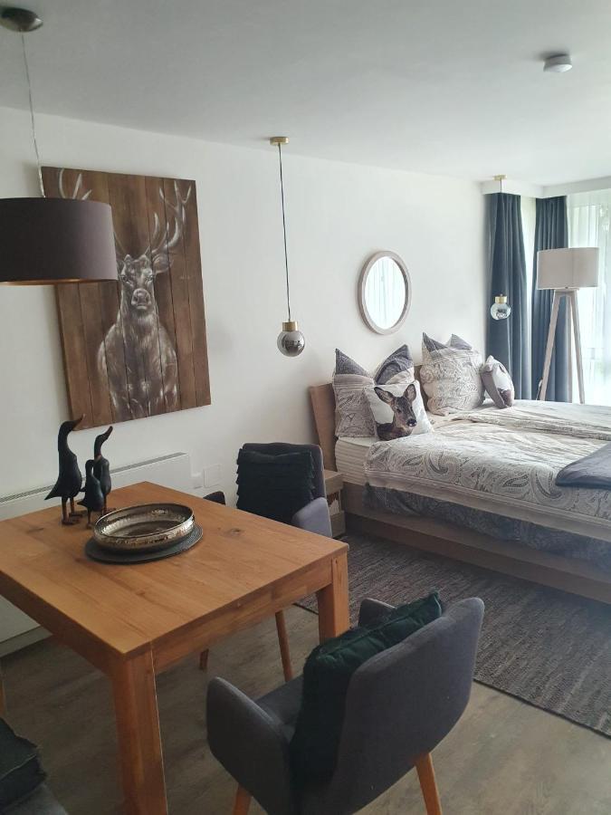 Maurers Schlierseetraum 6, Studio 455 Mit 42 Qm Neu Renoviert, Erdgeschoss Mit Eingezaeunter Terrasse In Ruhiger Lage Am Kirchbichlweg 8 Eksteriør billede
